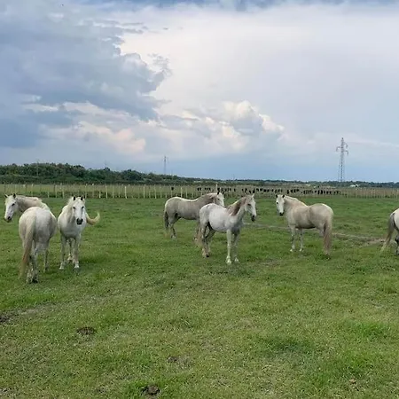 Mas De Cerier سان جيل