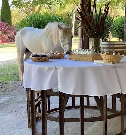 Mas De Cerier بيت للعطل سان جيل