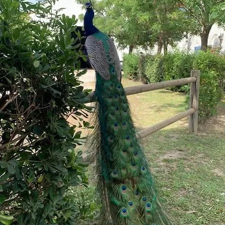 Mas De Cerier * سان جيل