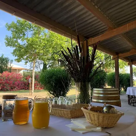 بيت للعطل Mas De Cerier سان جيل