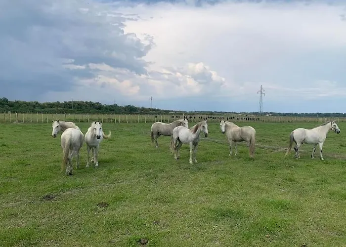 Mas De Cerier Saint-Gilles (Gard)