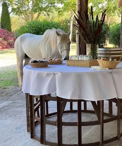 Mas De Cerier Vakantiehuis Saint-Gilles (Gard)