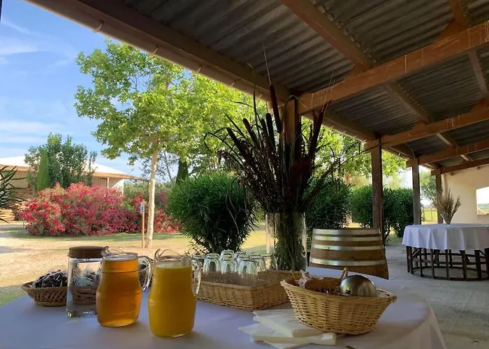 Vakantiehuis Mas De Cerier Saint-Gilles (Gard)